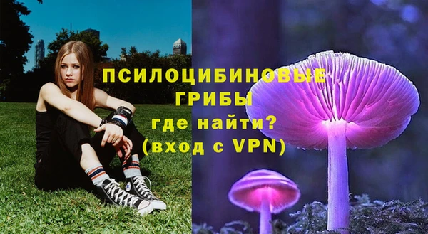 трава Алзамай